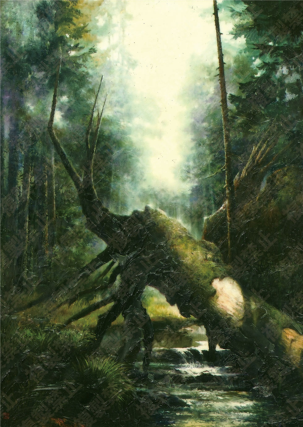 長白山密林の商品画像