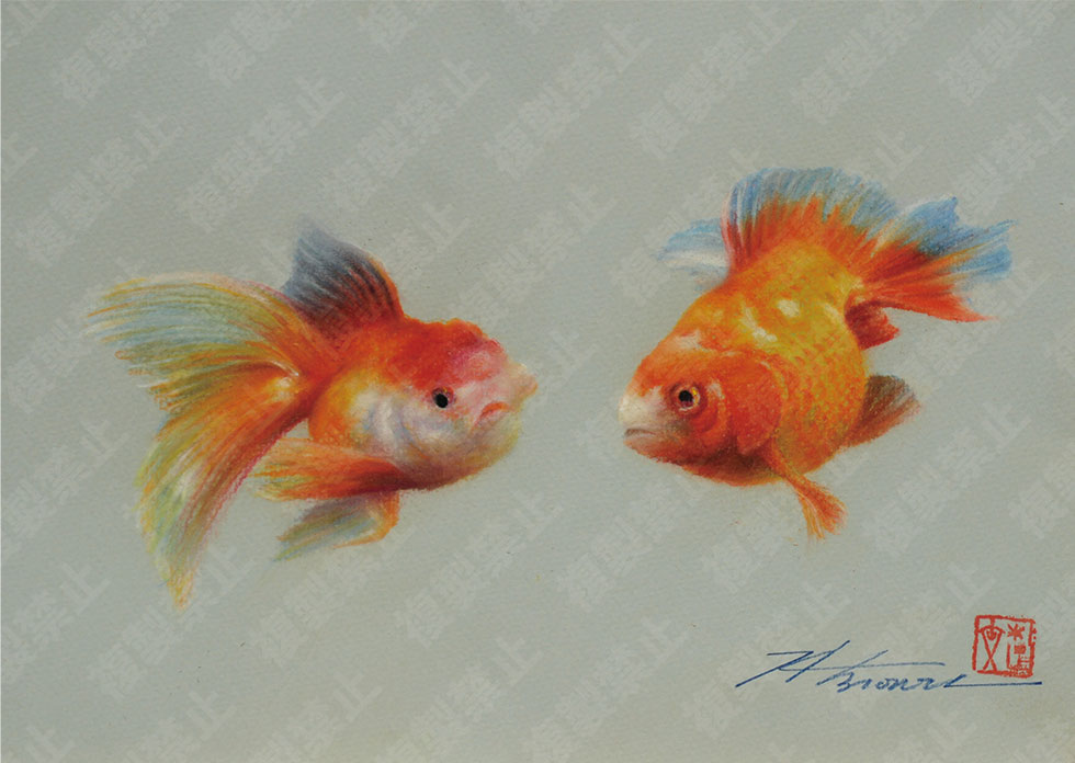 金魚の商品画像