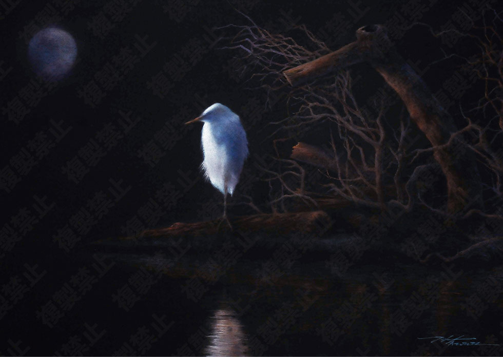 寂寥の商品画像